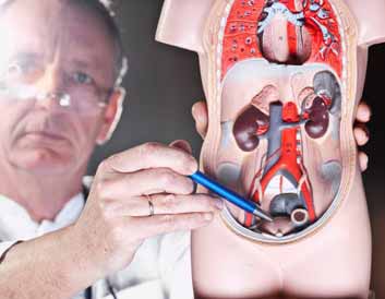 Urologist