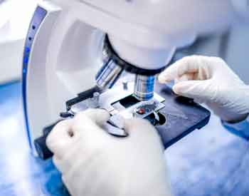 MBA Biotechnology