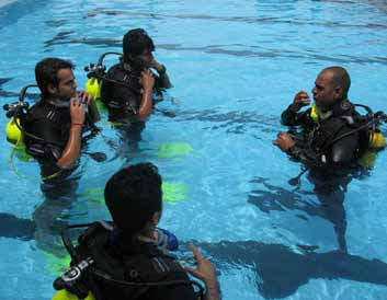 Marine Conservation Experts