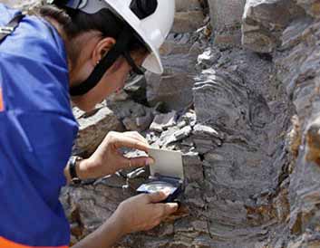 BSc Geology