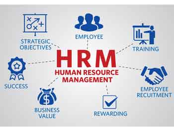 BBA in HR
