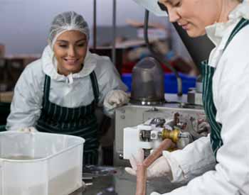 M.Tech Food Process Engineering