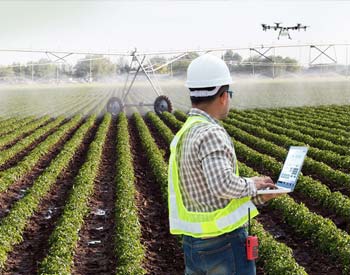 M.Sc Agriculture